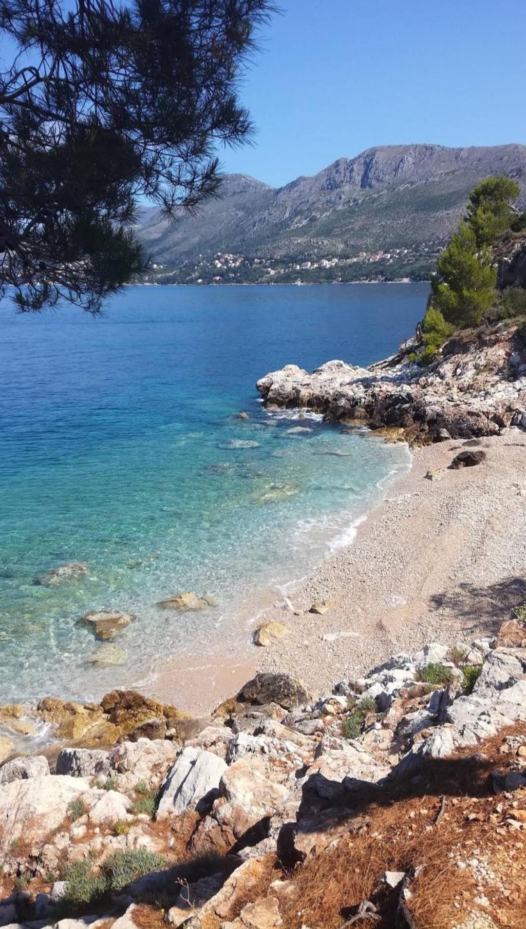 Bianchi Daire Cavtat Oda fotoğraf